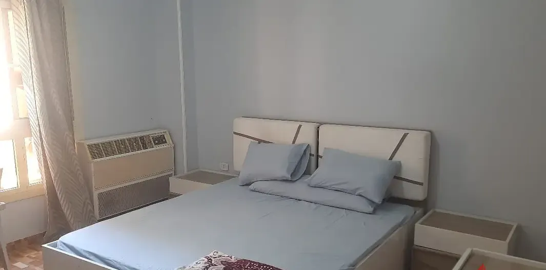 Furnished Super Lux Apartment for Rent in Investors