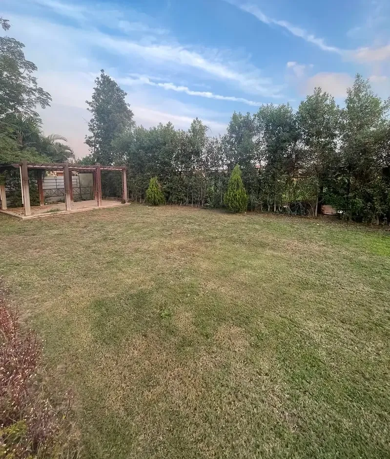 Villa for rent in Madinaty, separate, model E, golf view