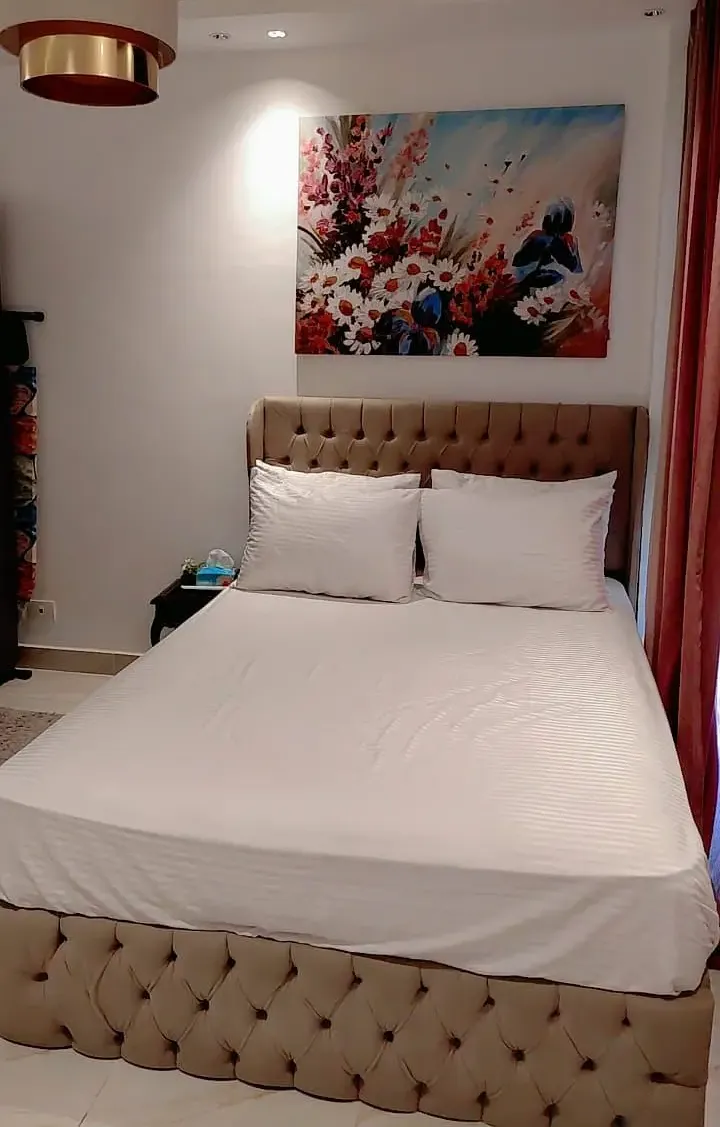 Furnished Apartment for Rent in Madinaty (Weekly/Monthly)