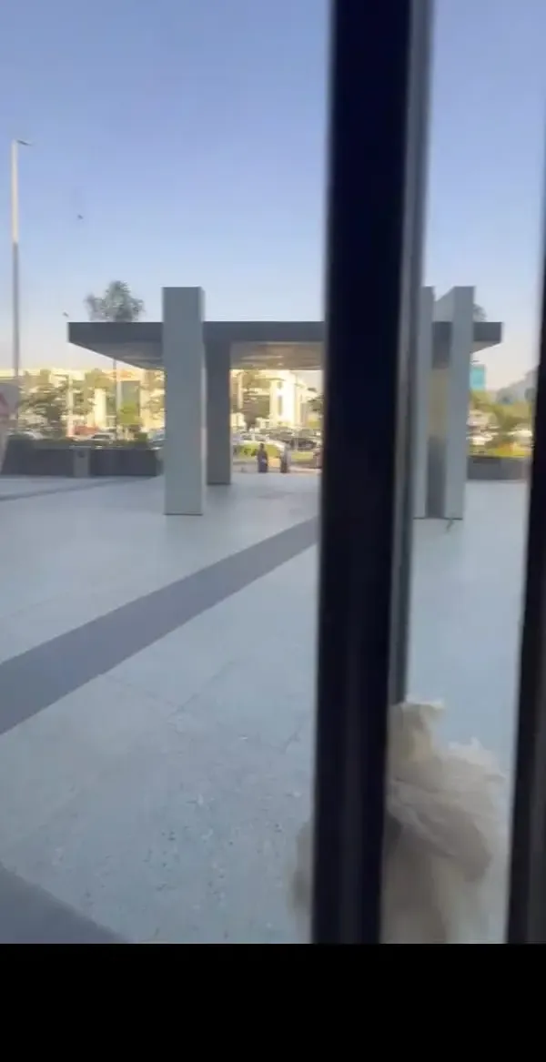 Commercial store for rent, 210 sqm, open view in Sheikh Zayed
