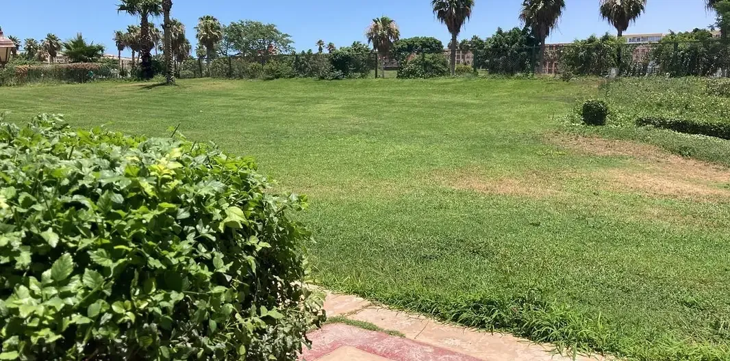 استوديو جولف بورتو مارينا