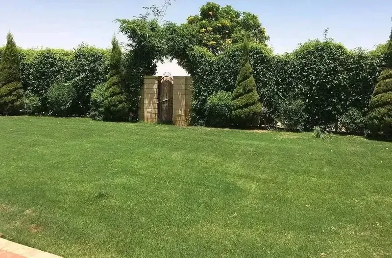 Villa for rent in Madinaty, Model E, Golf View