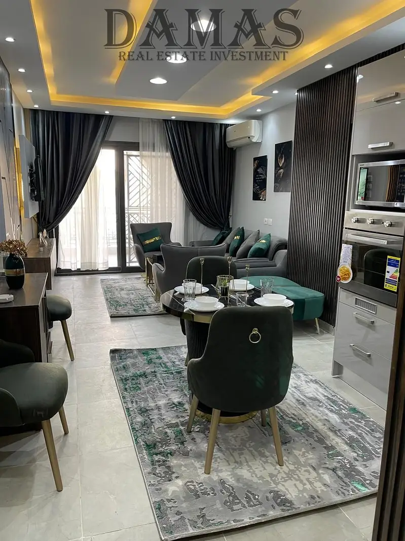 Fully furnished ultra super lux apartment with garden in New Capital City