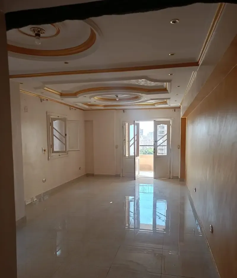 Apartment for rent, residential or administrative, on El Qasr El Ainy Main Street