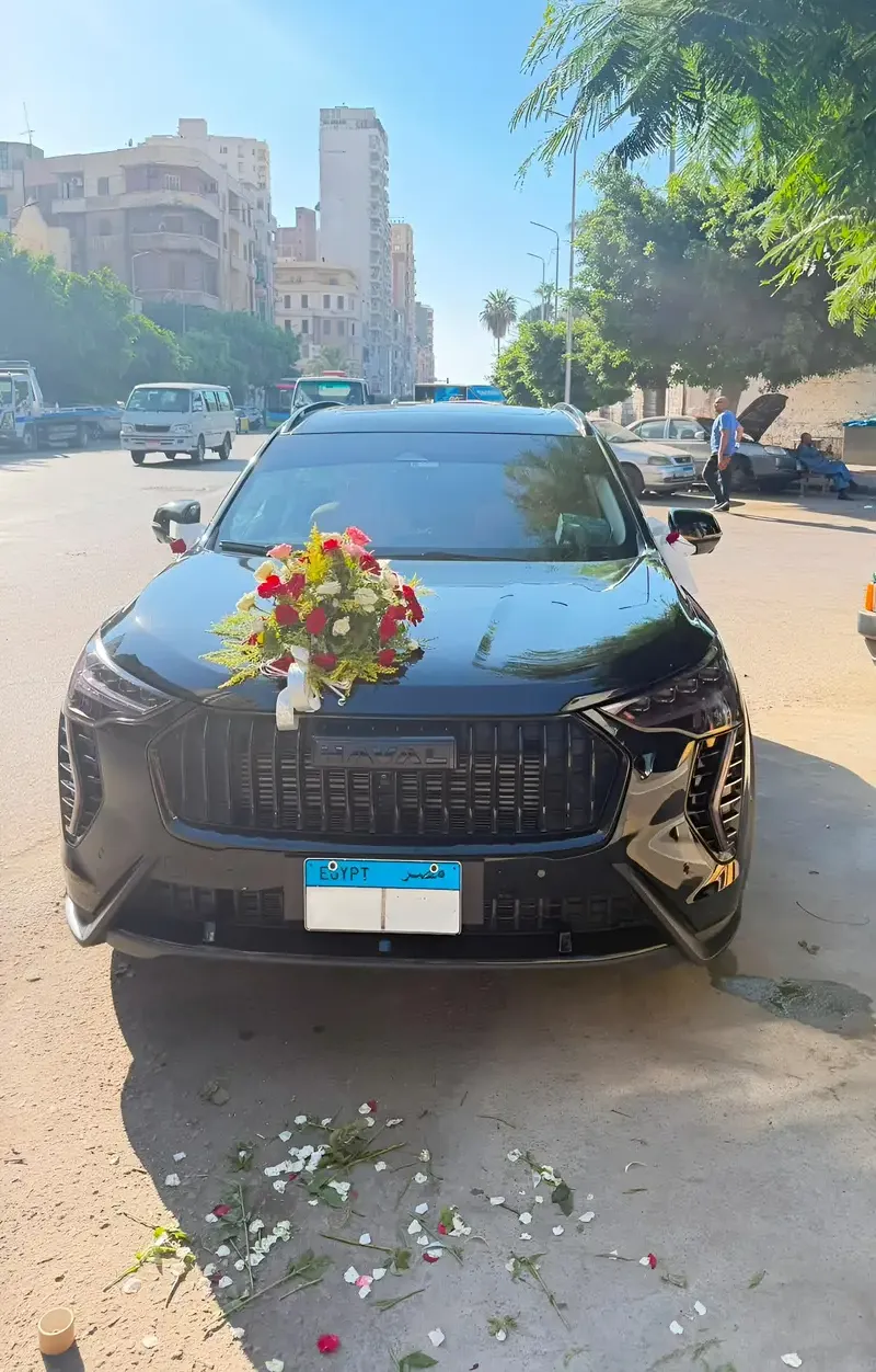New Model Cars for Rent 2025/2026 with and without Driver