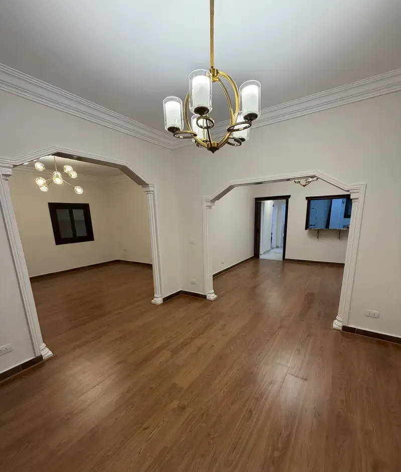 Ultra Super Lux Apartment for Rent in Dokki, Jeddah Street