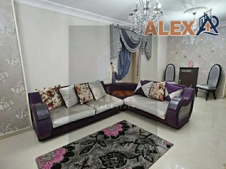 Furnished apartment for rent in Smouha