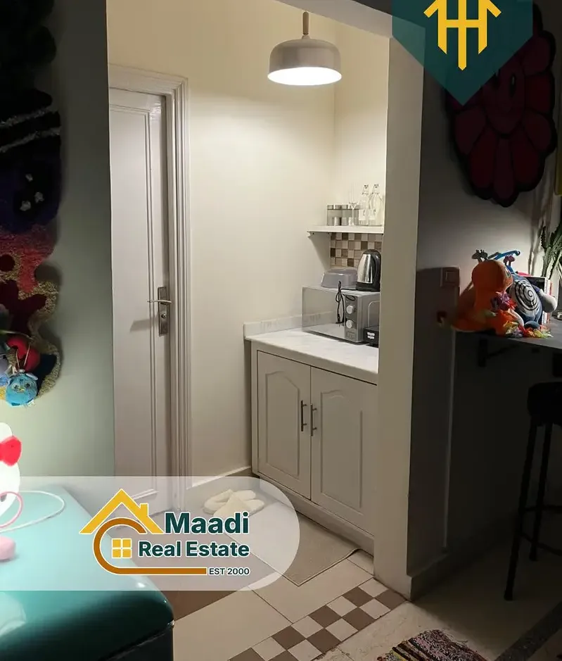 Furnished rooftop studio for rent in Degla, Maadi