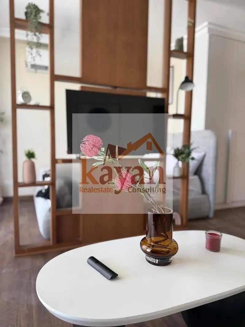 Luxurious apartment for rent in Cairo Festival City