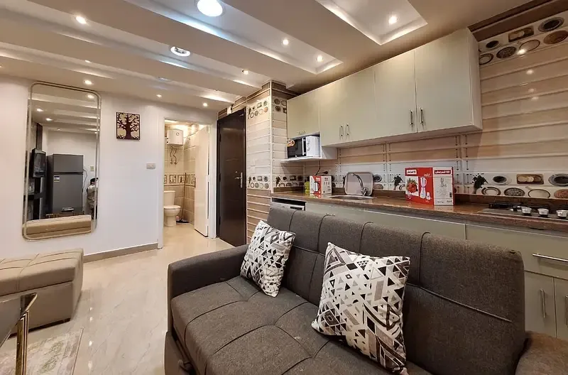 Furnished, Air-Conditioned Hotel Studio for Rent in Nasr City