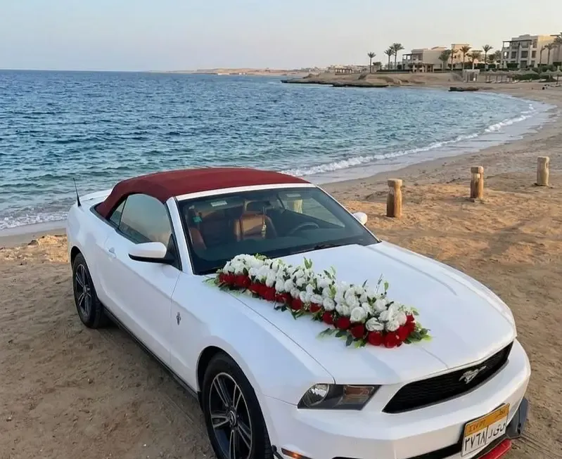 Cars for Rent and Weddings