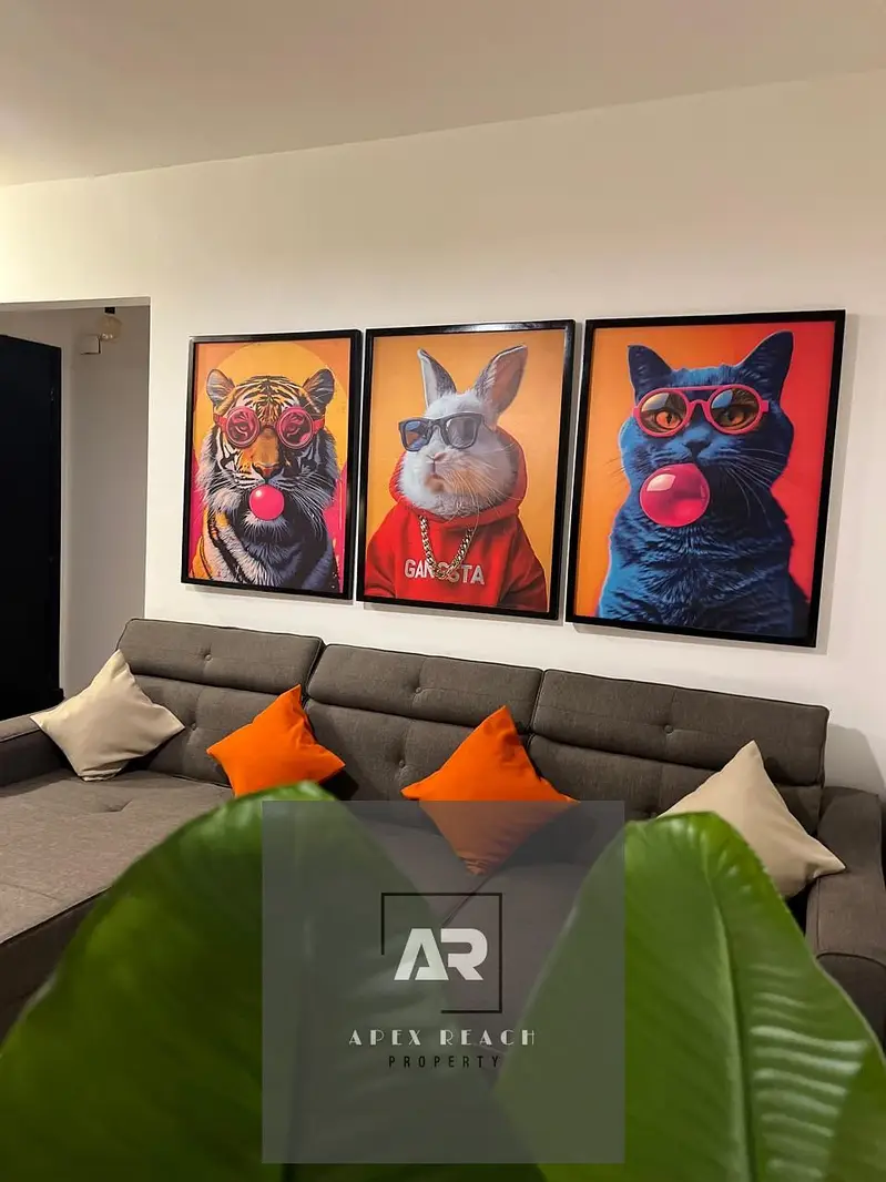 Furnished studio for rent in Madinaty B12