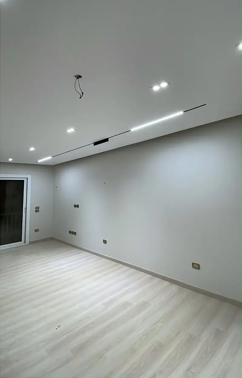 Distinct apartment for rent in Hyde Park