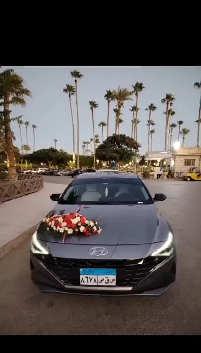Limousine Cars for Rent for All Trips and Travel