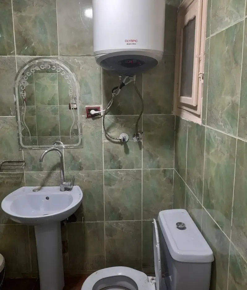 Furnished apartment for rent on Ahmed Zaki Street