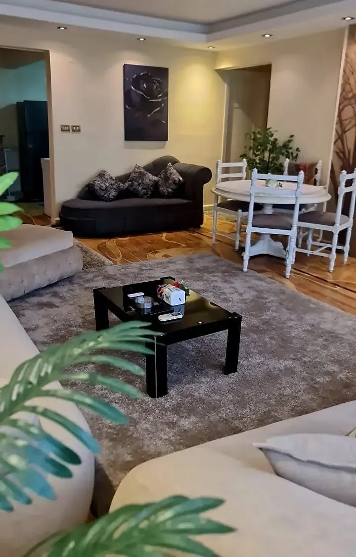 شقة للايجار مفروشه شارع شهاب المهندسين