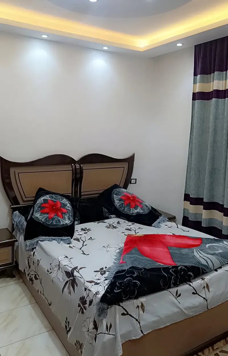 Furnished apartment for rent in Mohandessin