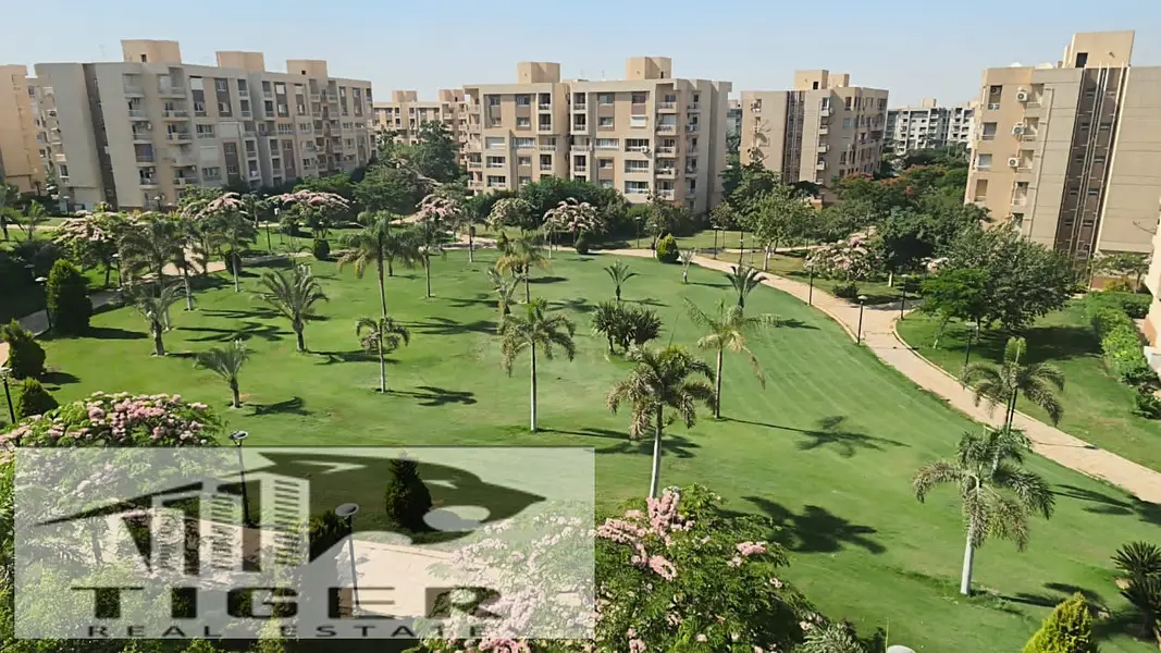 200 sqm apartment for rent in Madinaty B11