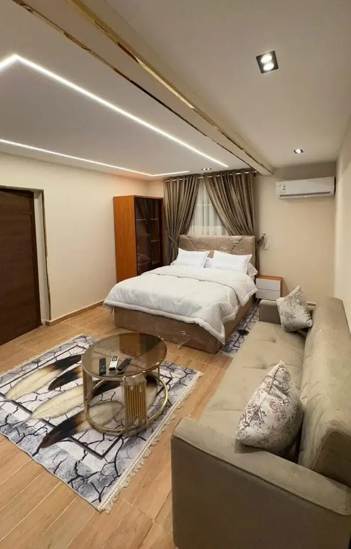 Luxury VIP Studio for Rent in Abbas El Akkad
