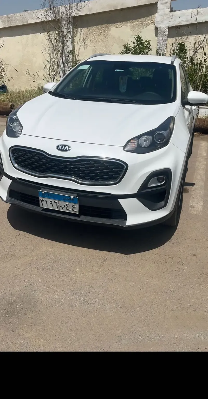 Cars for rent, modern models