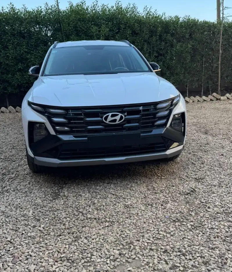 Hyundai Tucson Car for Daily Rent