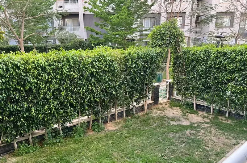 Furnished apartment for rent in Madinaty B10, ground floor with garden