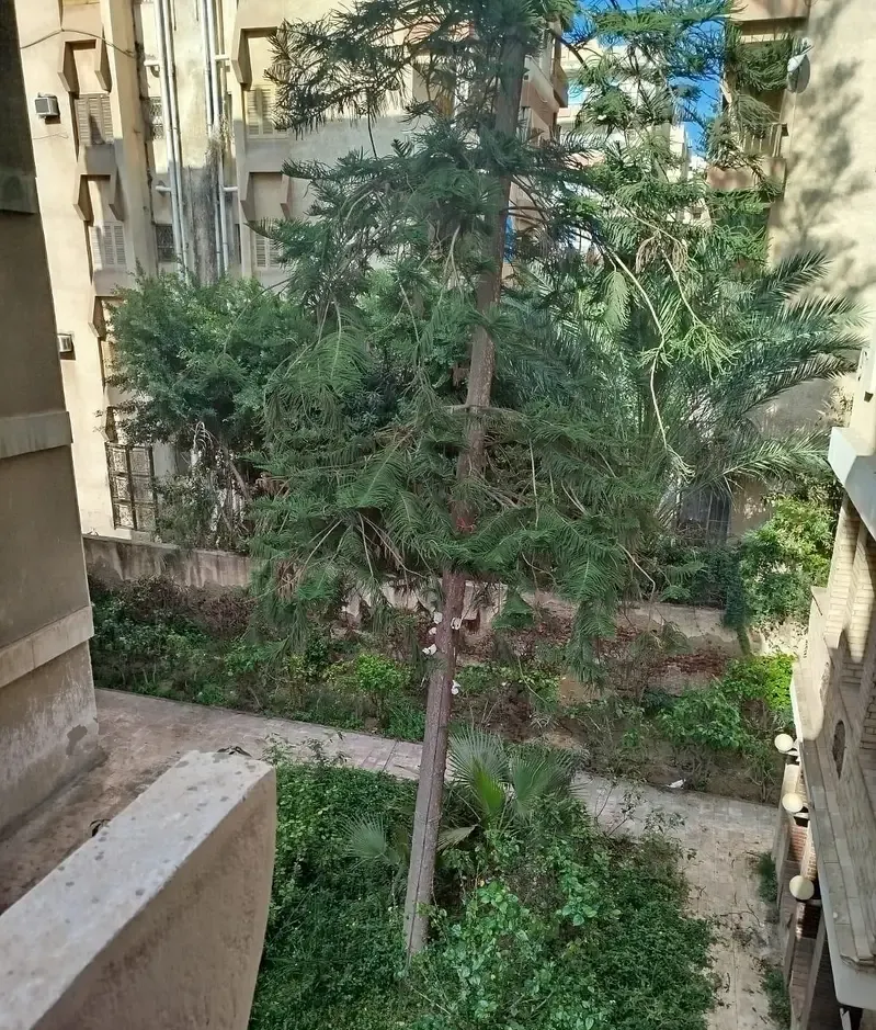 شاليه للايجار المصيفي بالمعمورة الشاطئ بالاسكندرية