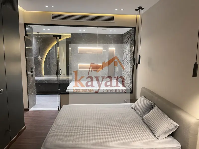 Penthouse for rent in Lake View | Furnished or Unfurnished