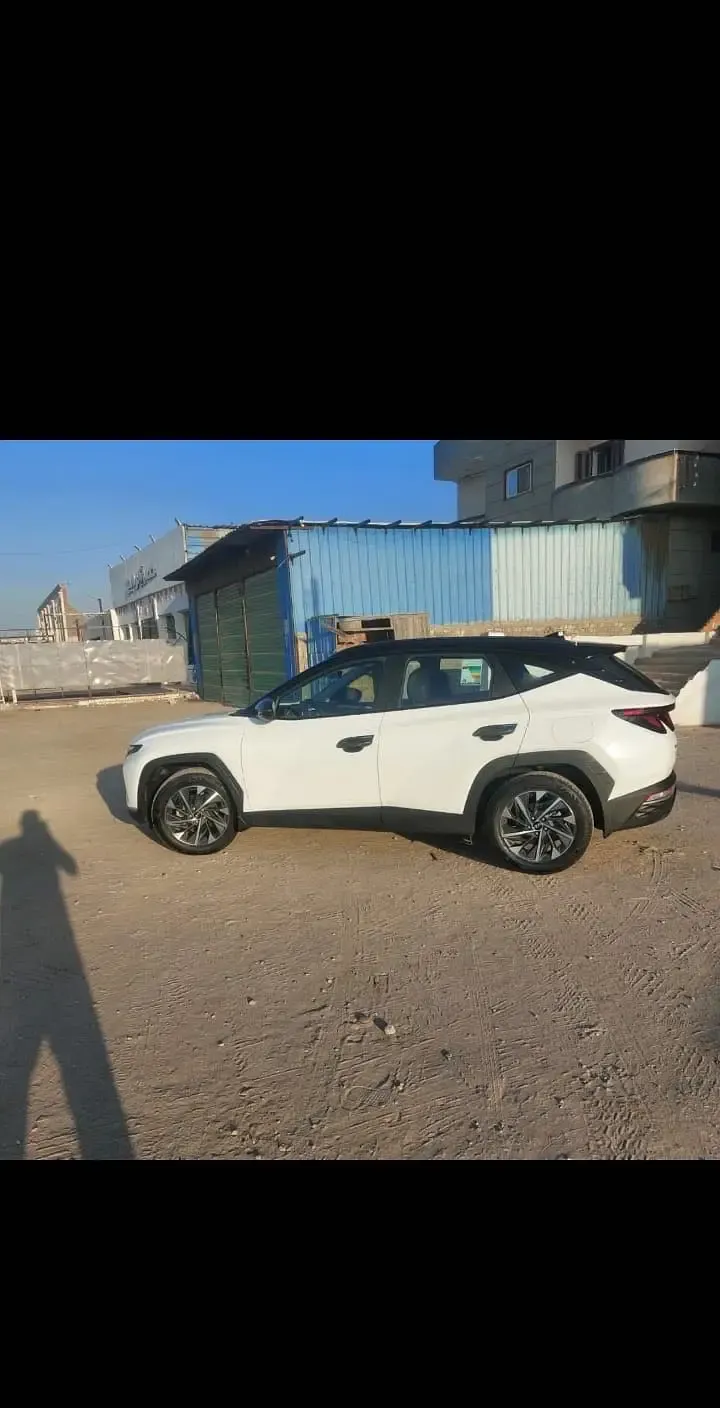 Cars for rent