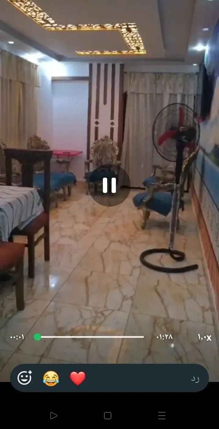 شقة مفروشة للإيجار بالعجمي الكيلو 21 بشاطئ النخيل
