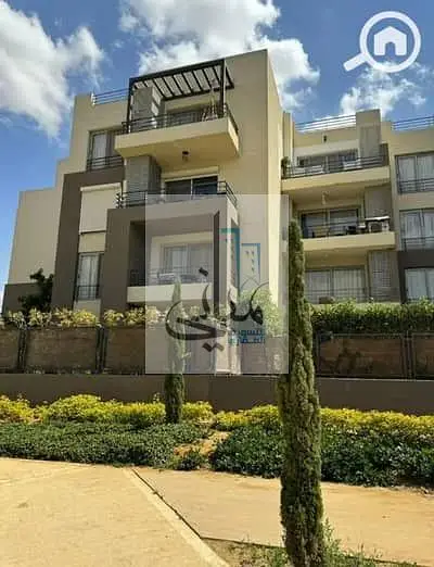 Luxury Furnished Studio for Rent in Palm Parks