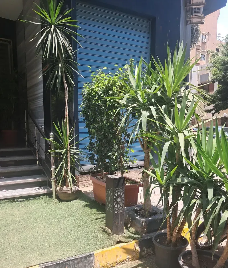 شقة للإيجار في المهندسين مفروشة بالكامل