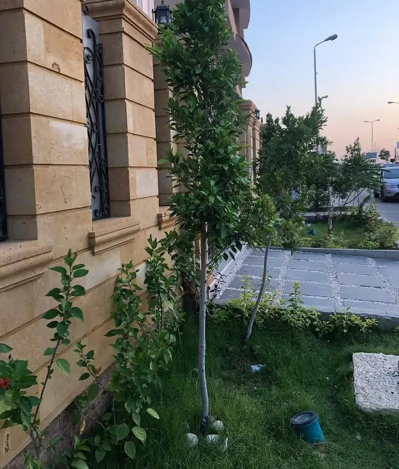 فيلا للايجار بالشروق تشطيب سوبر لوكس