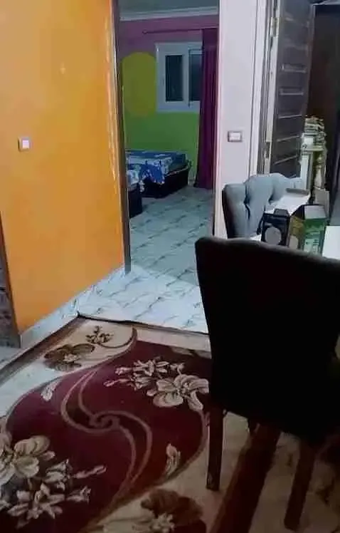 شقة مفروشة للإيجار في المعادي