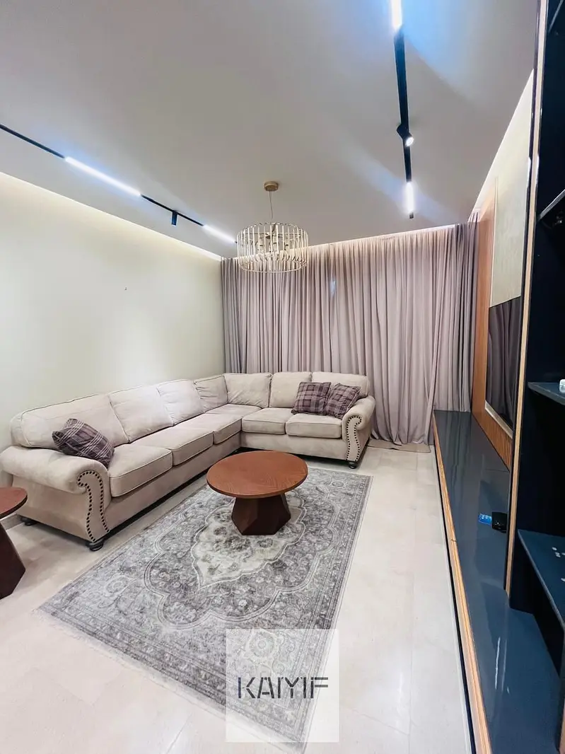 Fully furnished apartment for rent in Villette with luxurious finishing