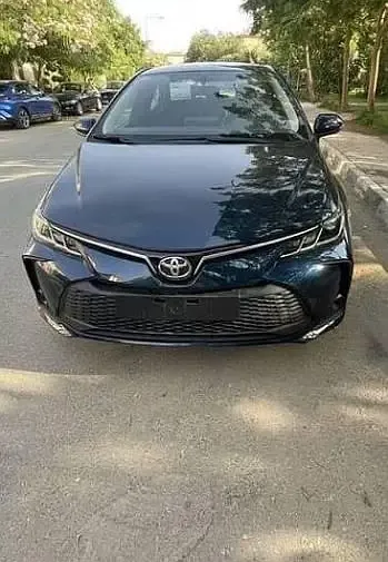 Car Rental