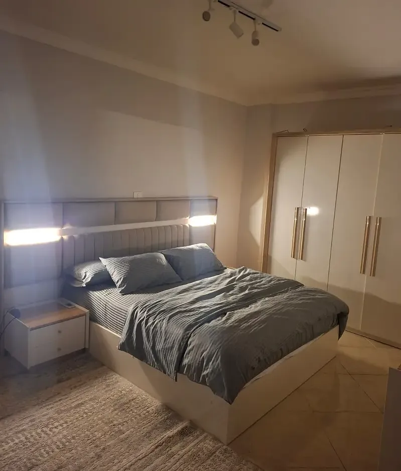 Furnished apartment for rent near Al-Qasr Al-Ainy